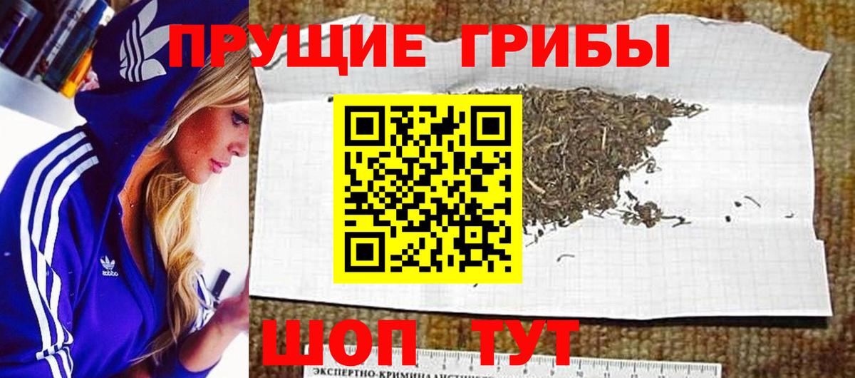 Псилоцибиновые грибы прущие грибы  Псилоцибиновые грибы ЛСД  Вход с VPN  Мценск 