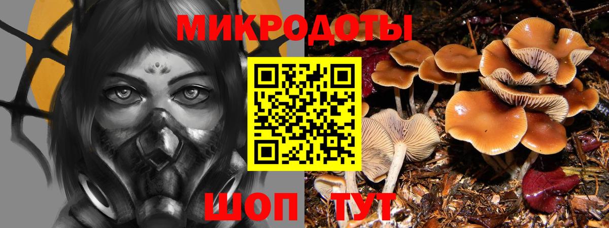 Псилоцибиновые грибы Cubensis Мценск