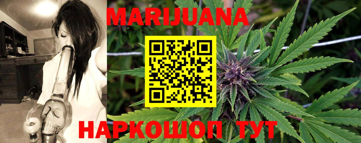 Каннабис индика  Вход с VPN  Бошки марихуана ГИДРОПОН  Мценск  Конопля гибрид  Канабис White Widow 